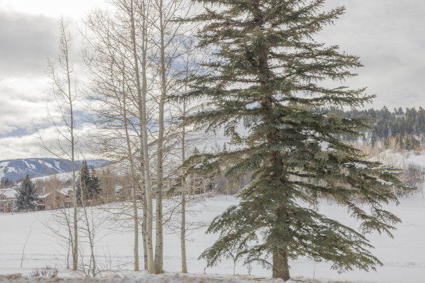 多雪的冬天，多姿多彩的科罗拉多风景。萨米特县，韦尔，弗里斯科，比弗克里克，埃文，爱德华兹，白杨树和许多滑雪!图片下载