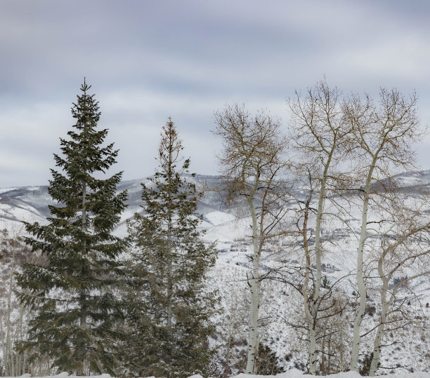 多雪的冬天，多姿多彩的科罗拉多风景。萨米特县，韦尔，弗里斯科，比弗克里克，埃文，爱德华兹，白杨树和许多滑雪!图片下载