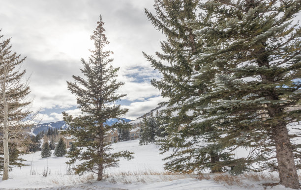 多雪的冬天，多姿多彩的科罗拉多风景。萨米特县，韦尔，弗里斯科，比弗克里克，埃文，爱德华兹，白杨树和许多滑雪!图片下载