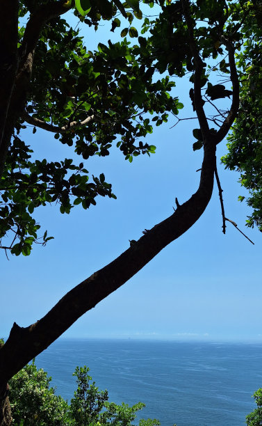 从山顶俯瞰海景。图片下载