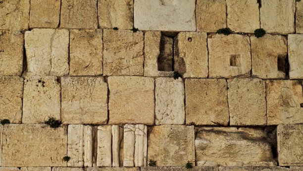 石头之家图片下载