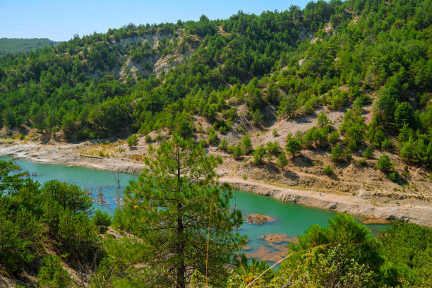 森林的风景照片和湖边水面的倒影图片下载