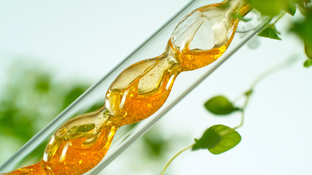 从天然物质、草药和鲜花中提取天然油脂。图片下载