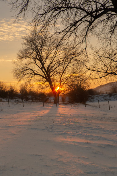 俄罗斯寒冷的冬天。西伯利亚美丽的日出。寒冷的冬天照片。图片下载