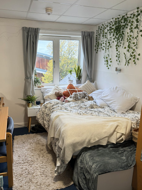 图为大学生搬进大学宿舍，卧室办公室，床前铺着毛茸茸的地毯，上面铺着枕头和靠垫，假塑料常春藤墙装饰图片下载