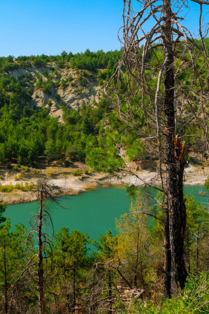 森林的风景照片和湖边水面的倒影图片下载