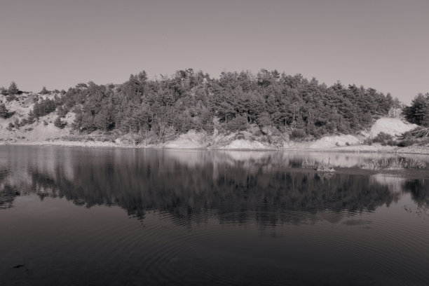 森林的风景照片和湖边水面的倒影图片下载