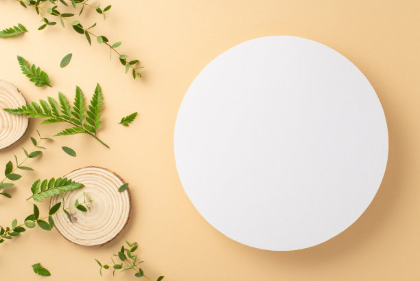 质朴的自然之美概念。空的圆形框架的俯视图照片，桉树和蕨类植物的枝叶和木制支架在孤立的米色背景上与复制空间图片下载