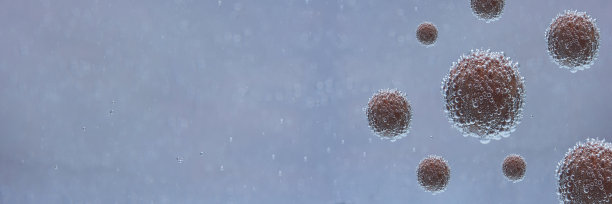 巧克力糖在水中布满了气泡。灰色的背景。带复印空间的照片。图片下载