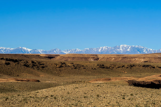 沙漠中的风景，照片作为背景图片下载
