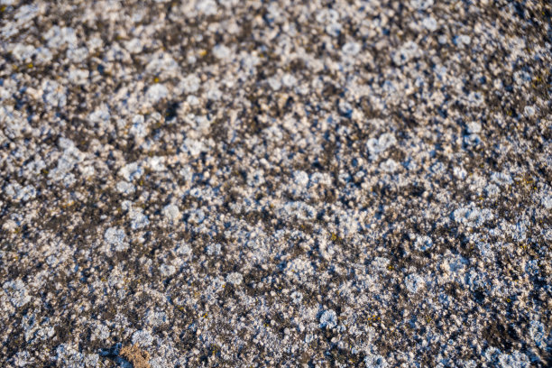 街道上水泥灰色的小路是手工铺成的。特写照片图片下载