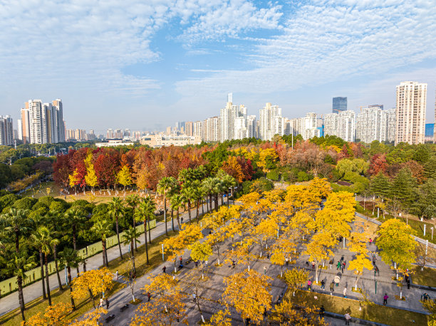 秋天城市公园的航拍照片图片下载