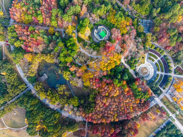 秋天城市公园的航拍照片图片下载