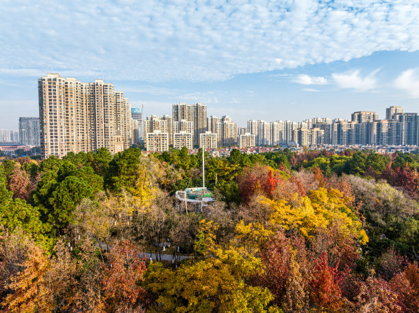 秋天城市公园的航拍照片图片下载