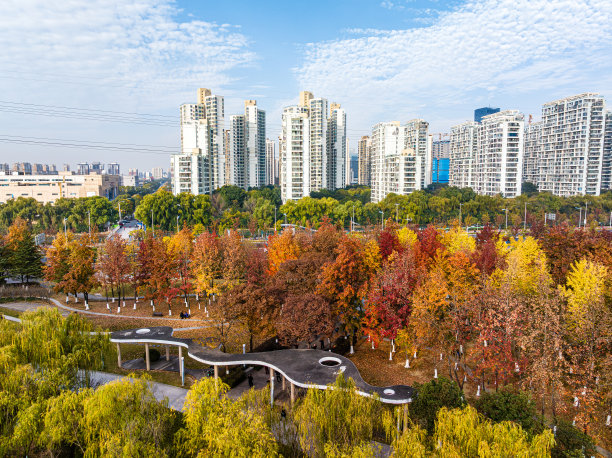秋天城市公园的航拍照片图片下载