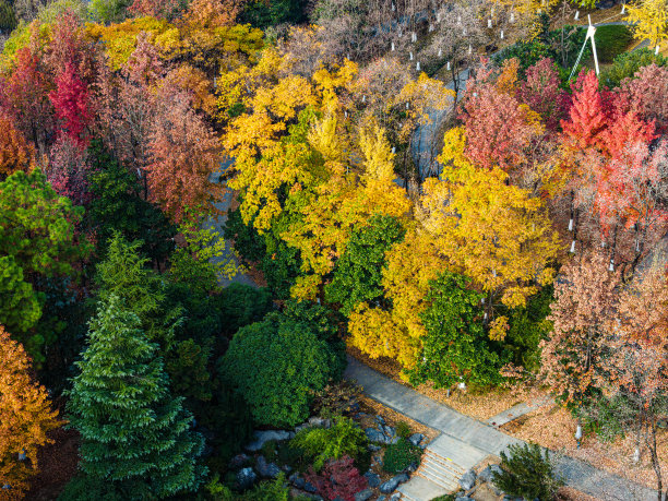 秋天城市公园的航拍照片图片下载