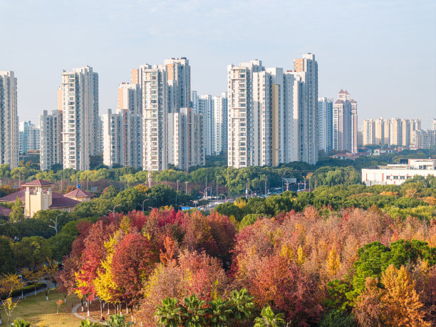 秋天城市公园的航拍照片图片下载