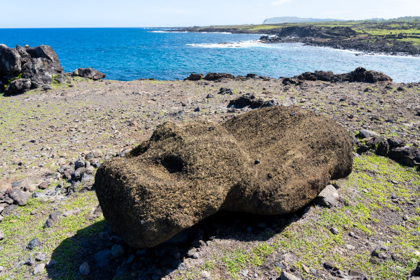 一个面朝上的小摩埃石像躺在复活节岛南海岸阿胡阿卡汉加的地上。图片下载