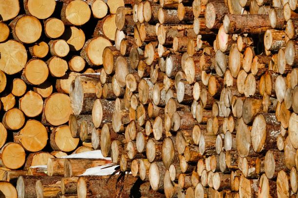 木桩，照片为背景，原木为背景纹理图片下载