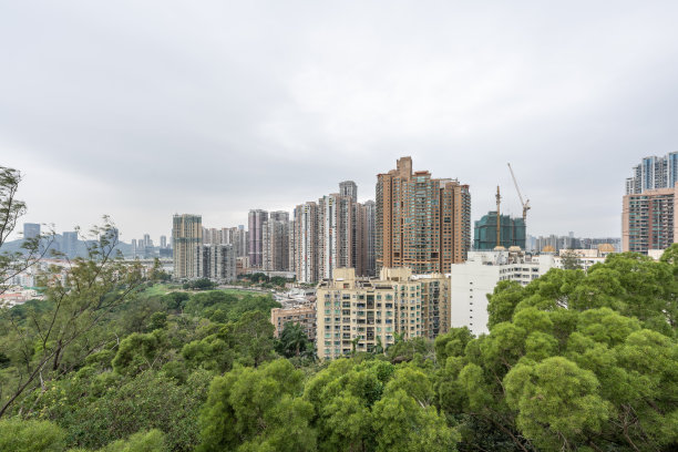 城市建筑与城市森林绿地图片下载