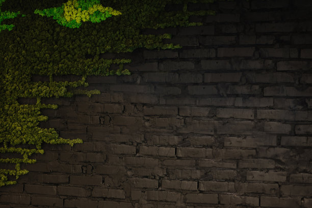 背景与文本的位置。黑色砖墙与绿色人造苔藓。复古的背景。添加短信图片。设计艺术品的背景。图片下载