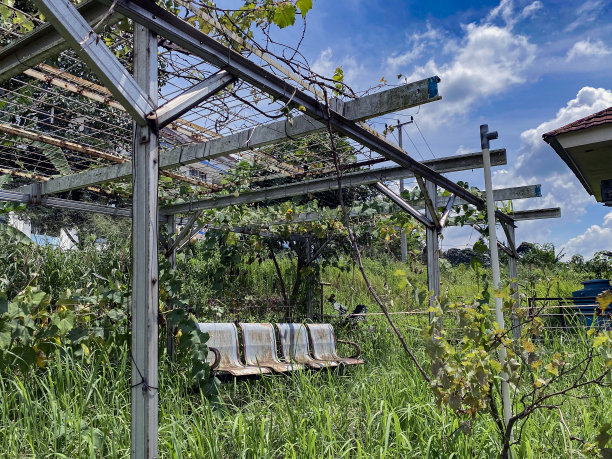 一个废弃的老公共汽车站长满了蔓生植物图片下载