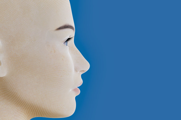 带有线框的人脸。半机械人，超宇宙概念。图片下载