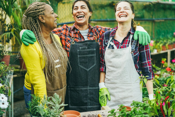 多种族妇女在苗圃温室内共同工作-绿色市场概念-主要关注非洲妇女的脸图片下载