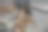 特写图片斑点鹿，动物园里的一只鹿图片下载