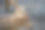 特写图片斑点鹿，动物园里的一只鹿图片下载