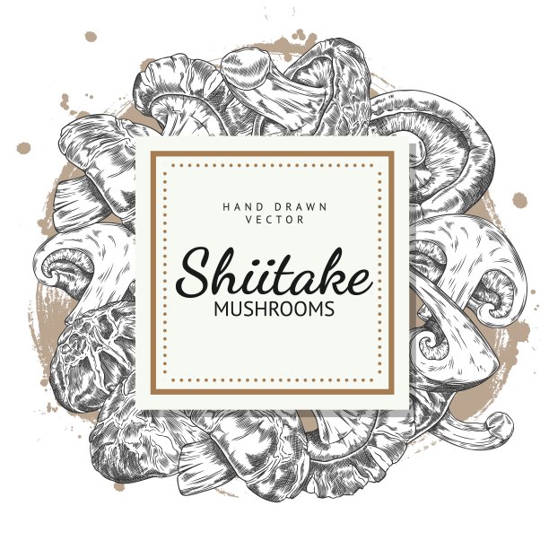 方形框架，背景是香菇。图片下载