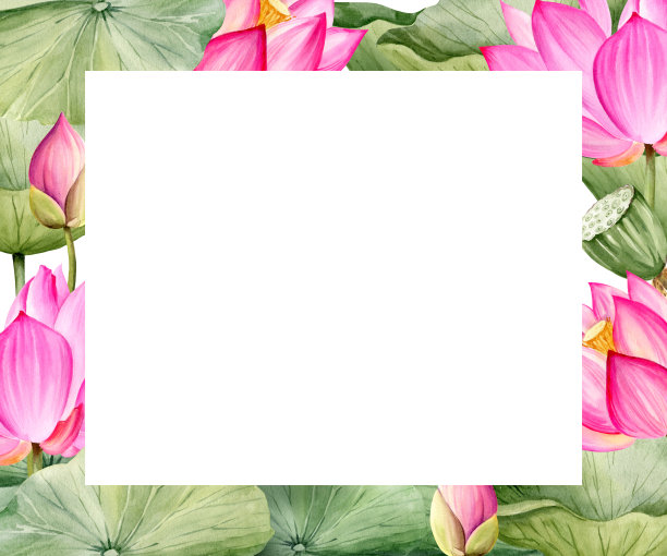 水彩水平框架与粉红色的莲花，花蕾和叶子，手绘插画水疗和瑜伽的主题，素描紫色睡莲，亚洲热带花孤立在白色背景图片下载