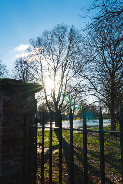 公园铁栅栏图片下载