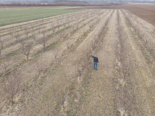 破坏衰老——工作和工作图片下载