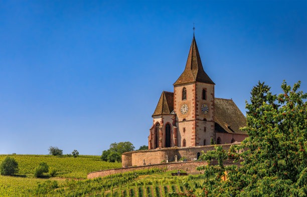葡萄藤和混合强化圣雅克教堂，胡纳维尔，法国图片下载