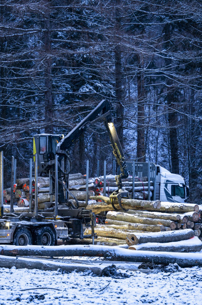 冬天在森林里把木头装上卡车。图片下载