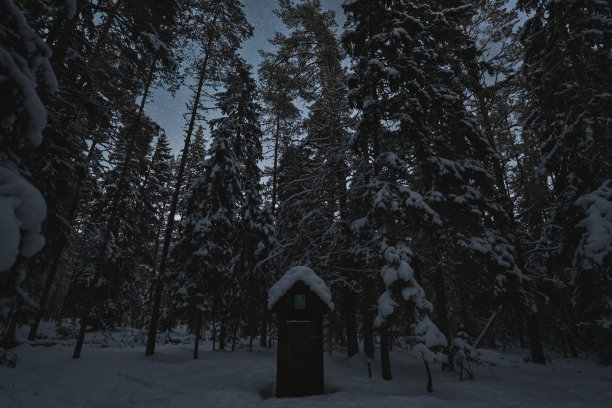 夜间冬季森林中的木制厕所，照片中灯光微弱。图片下载