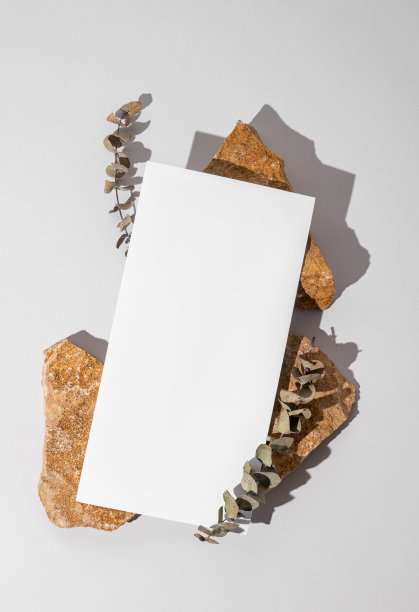 白色的空信封上纹理石与桉树在浅色背景与阴影。图片下载