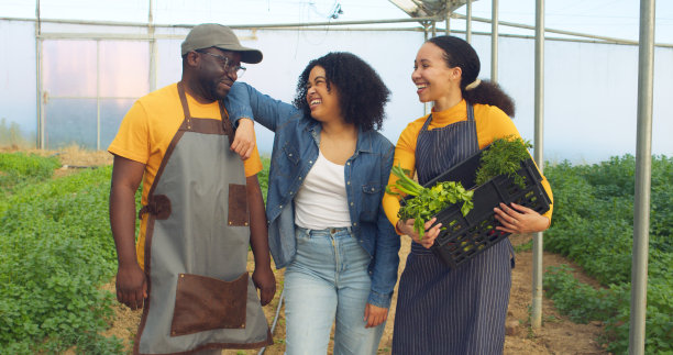 三个农民在农场温室隧道里微笑着摆姿势的肖像图片下载