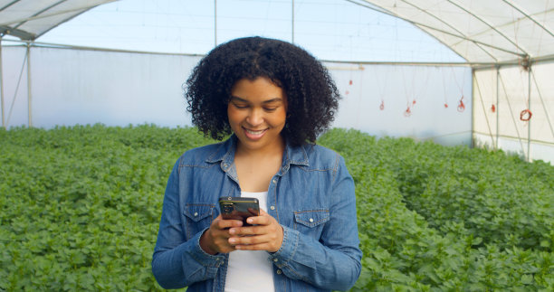 多民族女农民使用手机，在温室里发短信，种植有机草药图片下载