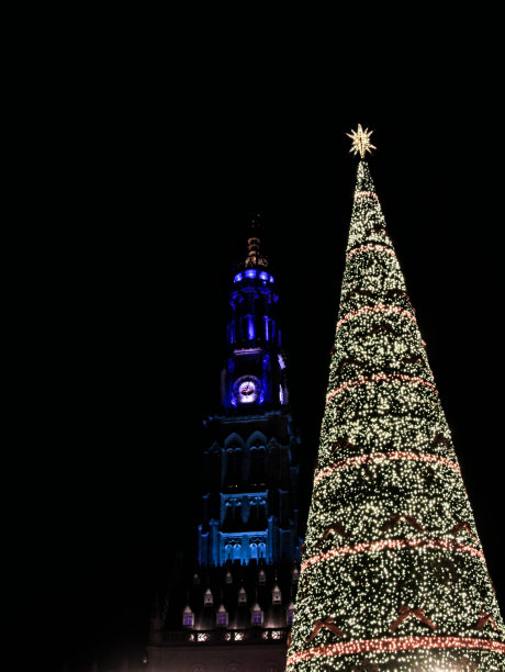 大广场上的巨型圣诞树图片下载