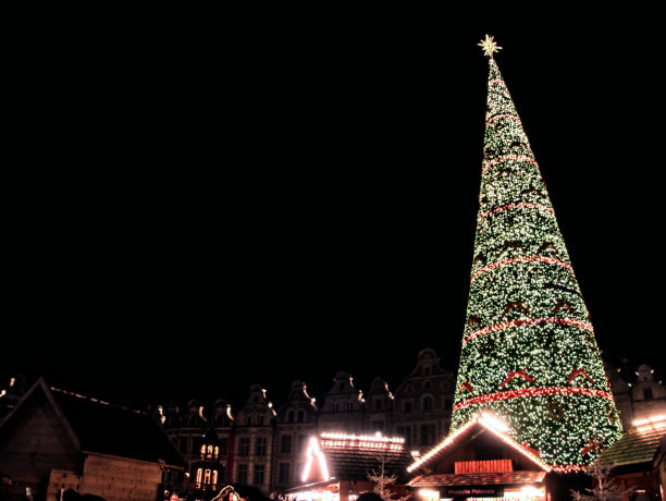 大广场上的巨型圣诞树图片下载