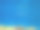 在广阔的红海珊瑚礁里的白桦图片下载