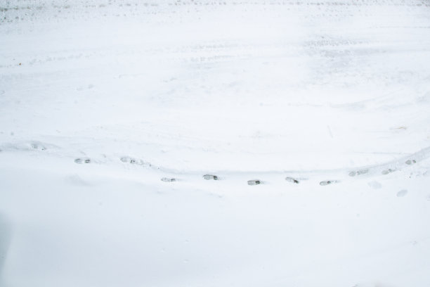 水平的足迹图片下载