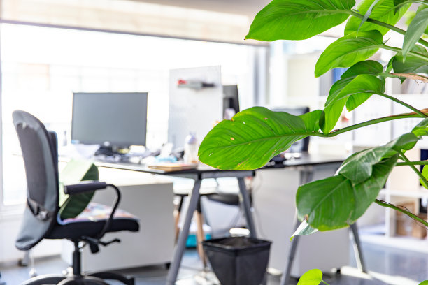 现代风格的公司内部走廊，绿色植物图片下载