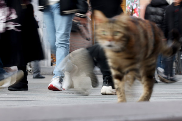模糊的人走在路上图片下载