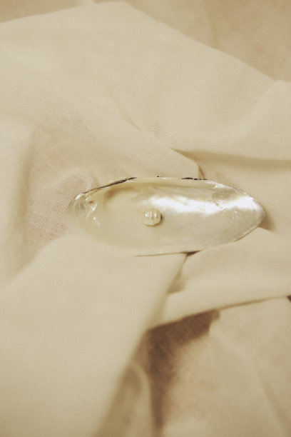 孤立的贝壳与淡水珍珠在一个轻的织物背景。贝壳配珍珠特写图片下载