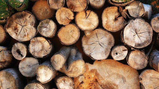 堆锯原木背景。剪贴画照片。天然木质壁纸图片下载