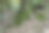 这张照片描绘了一个拥有原始自然环境的国家公园，以各种植物和郁郁葱葱的绿色植物为特色。图片下载