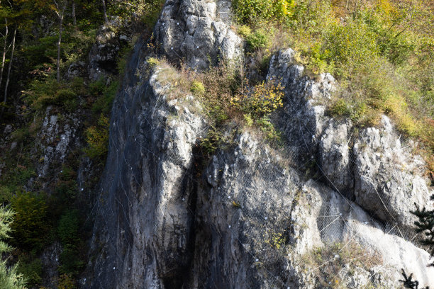 这张照片展示的是波兰国家公园里一片秋天的森林，茂密的树叶和白色的石灰岩，给人一种宁静的自然美景。图片下载